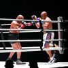 Box Mike Tyson - Roy Jones junior (2020)