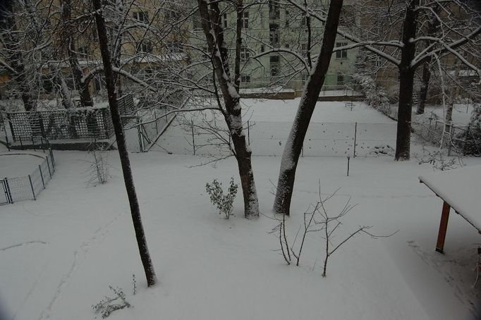 Teplota se v pražských Dejvicích pohybuje kolem nuly.