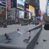 USA rasismus pandemie koronavirus New York demonstrace