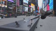 Times Square v New Yorku. Nejnavštěvovanější místo světa v době, kdy měli lidé kvůli koronaviru zůstat až na nezbytné případy doma.