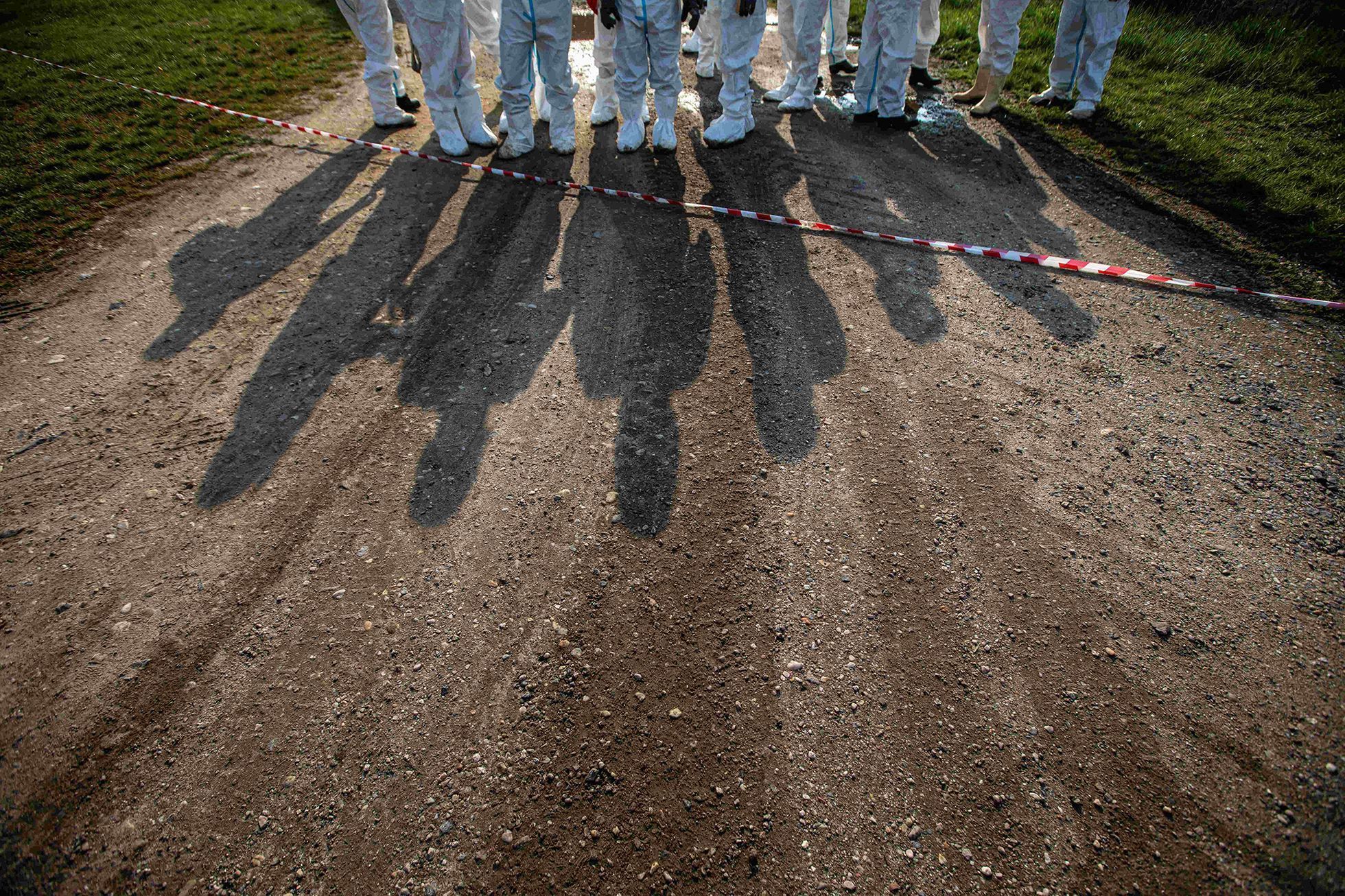 Czech Press Photo 2021 - vítězné snímky v kategorii Životní prostředí