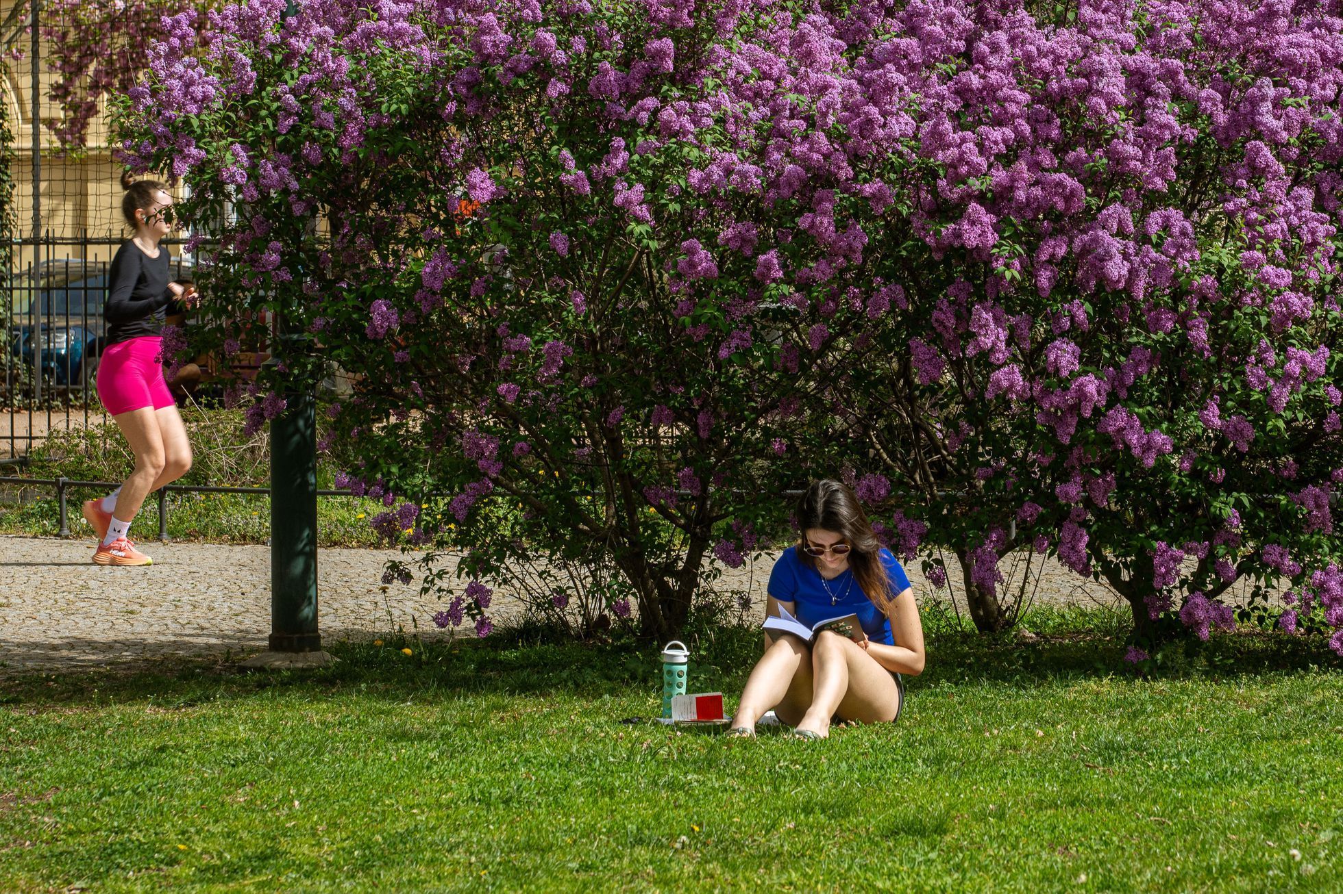 Ilustrační foto - jaro, léto, teplo, počasí, piknik, park