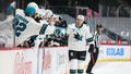 NHL 2020/21, Minnesota - San Jose: Tomáš Hertl oslavuje gól