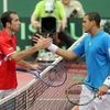 Davis Cup 2009: Štěpánek a Tsonga
