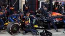 Max Verstappen, Red Bull ve VC Bahrajnu 2024