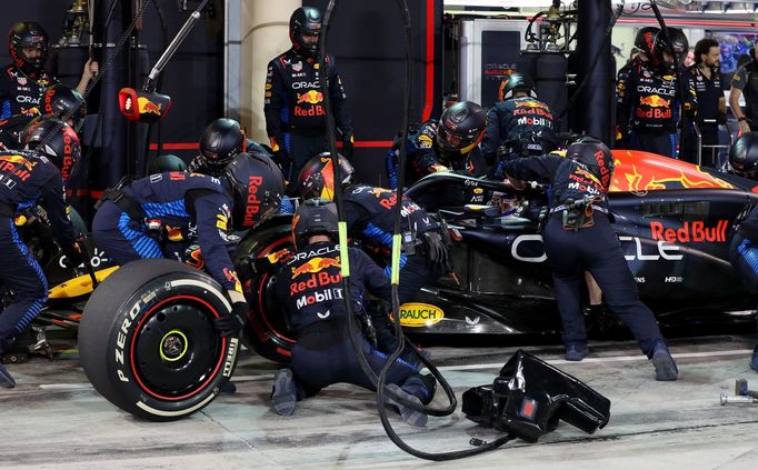 Max Verstappen, Red Bull ve VC Bahrajnu 2024