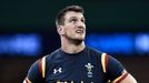 Sam Warburton, kapitán Walesu před MS 2015