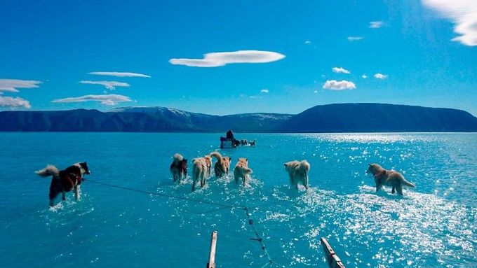 Svět obletěl snímek psí smečky, která vypadá, jako kdyby běžela po hladině moře. Pořídil ho dánský vědec na severozápadě Grónska.