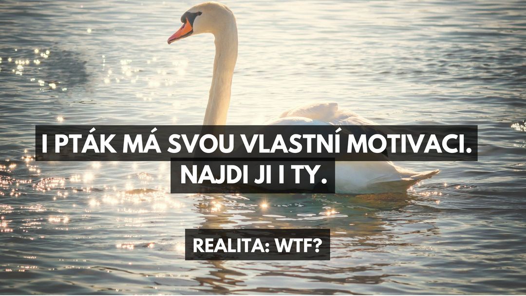 Realita motivačních citátů - foto