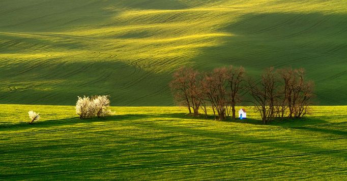 Radek Severa: jižní Morava