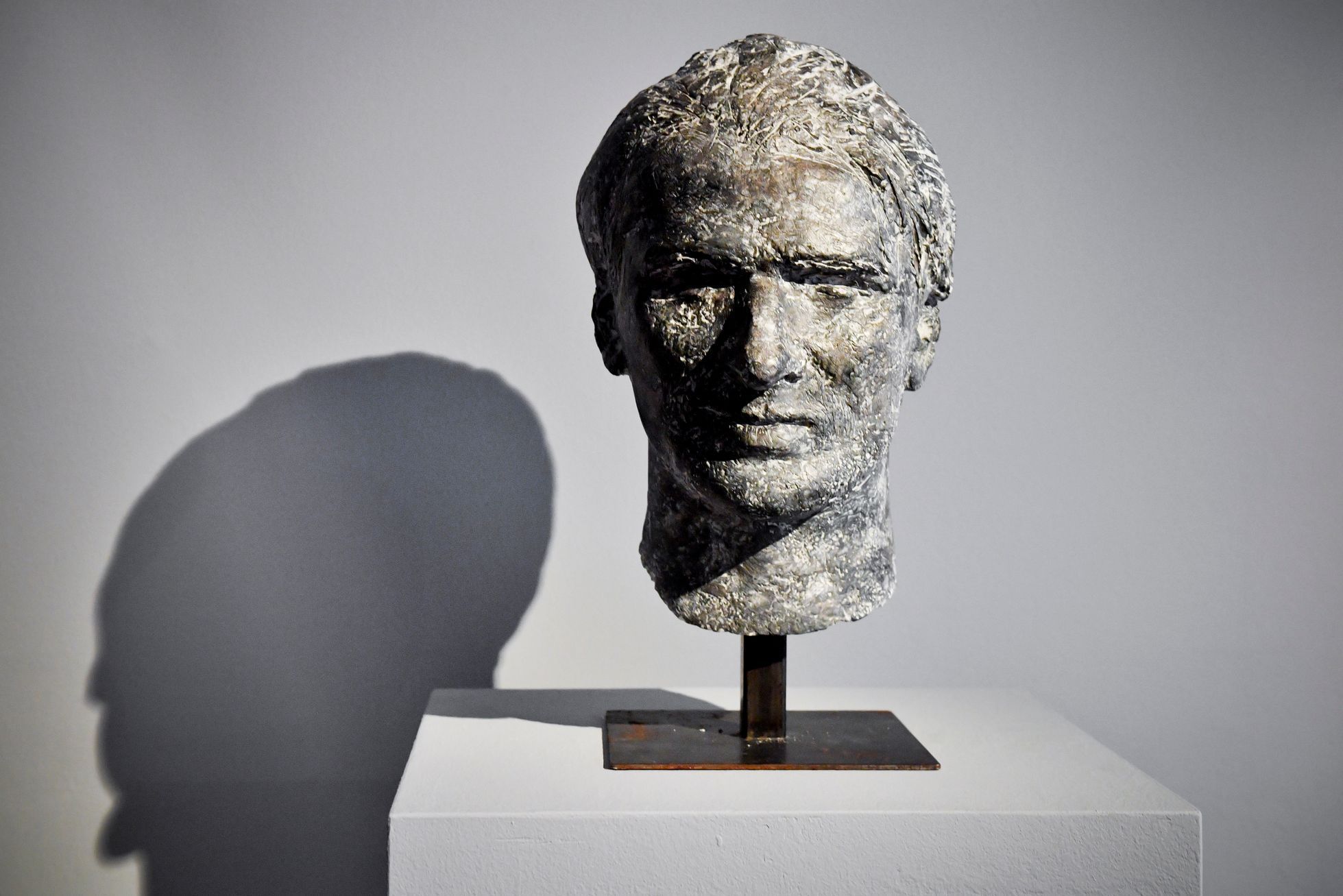 Síla činu. Jan Palach a Jan Zajíc v umění v letech 1969 – 2009