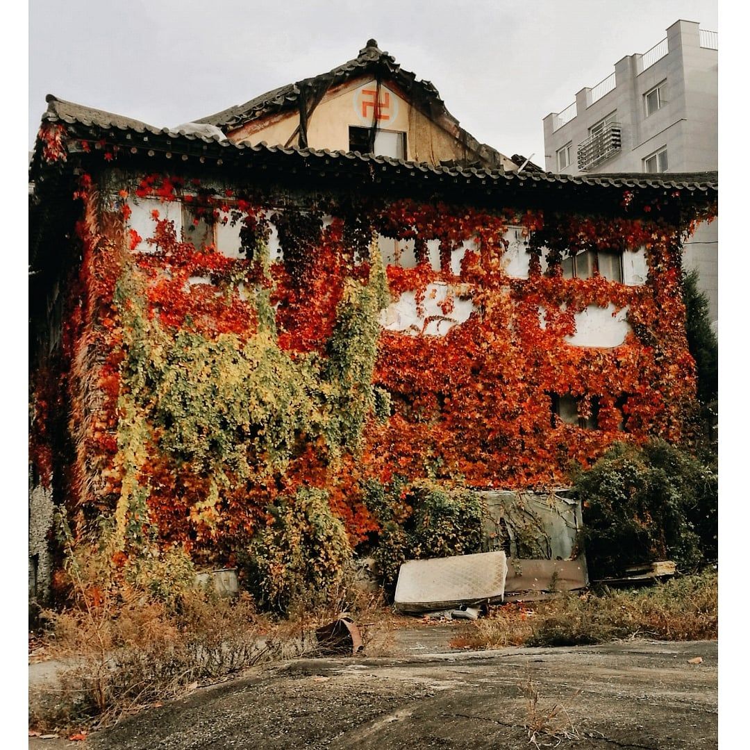 archiv sinoložky Dominiky Sakmárové