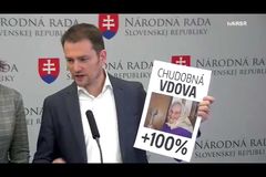 Slovenská opozice zneužila fotografii čtyři roky zesnulé Češky. Fico už se omluvil i Sobotkovi