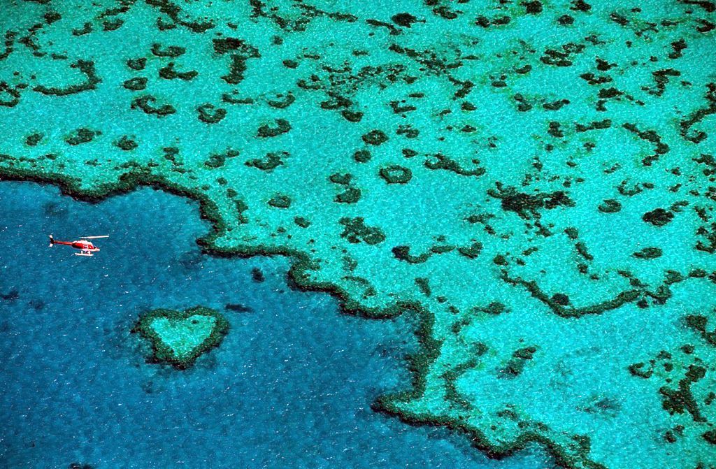 Obrazem: Fascinující podoby symbolu srdce v přírodě