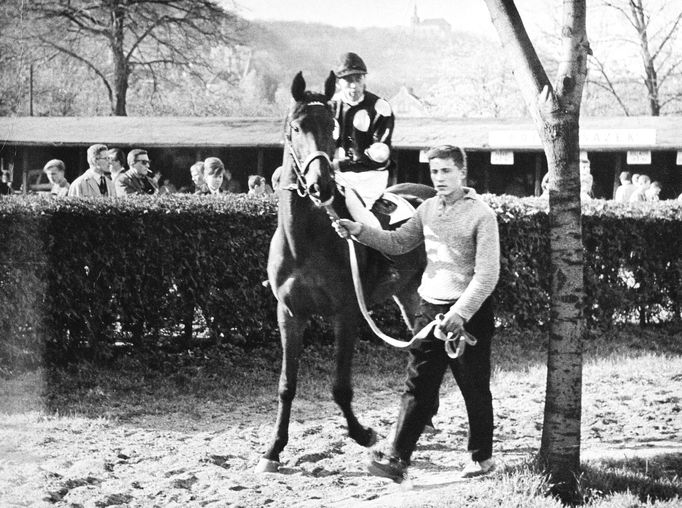 Žokej Ferdinand Minařík, jeden z nejlepších čs. žokejů derby v Chuchli nikdy nevyhrál. Na snímku s koněm Motýl. 70. léta