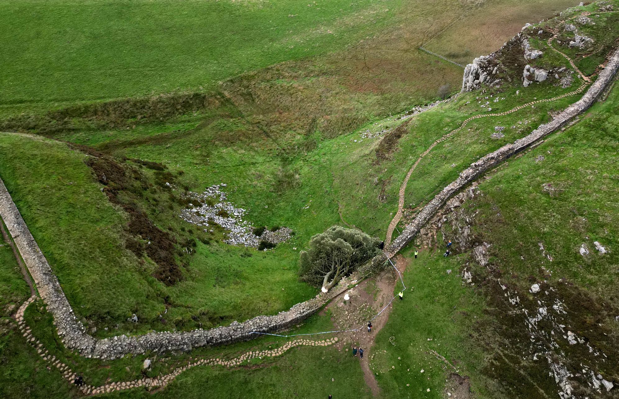 Sycamore gap, strom, Anglie