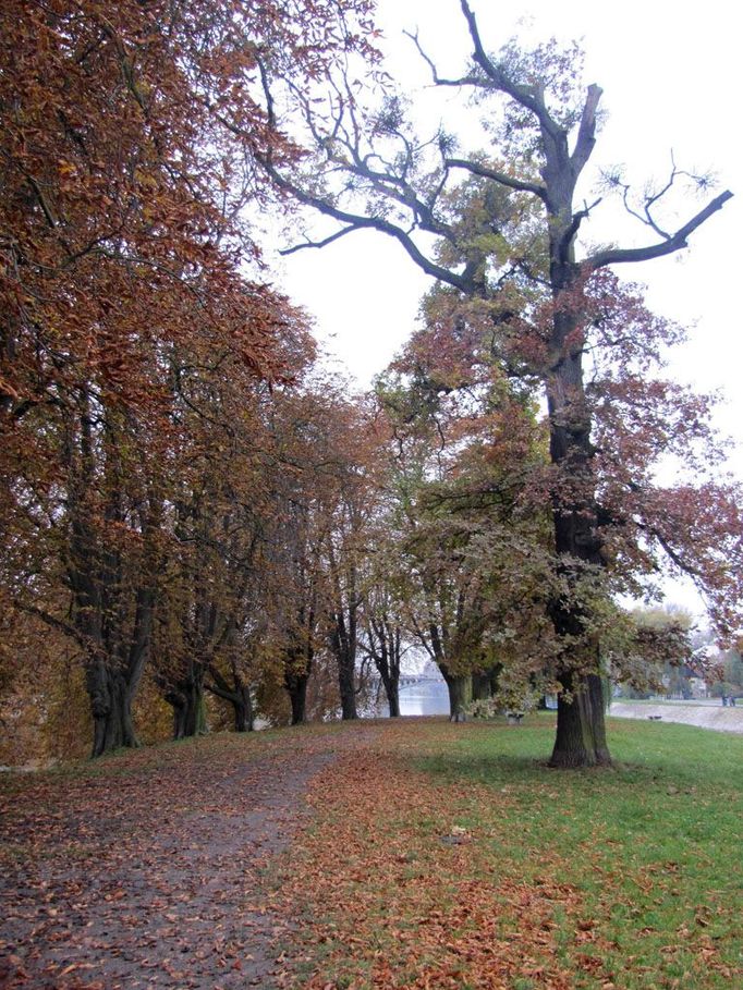 Podzim v Polabí.