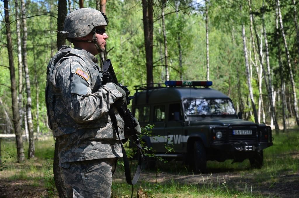 Anakonda, Polsko