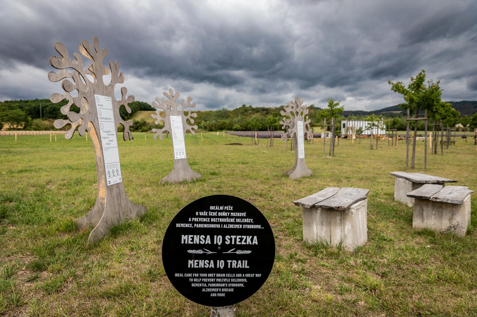 Levandulové údolí, údolí, levandule, Helena Neummanová, Chodouň