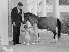 S rodinou J.F.Kennedyho žil v Bílém domě i kůň Macaroni