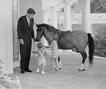Kůň Macaroni J. F. Kennedy