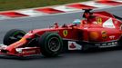 Ferrari Formula One driver Fernando Alonso of Spain drives during the Hungarian F1 Grand Prix at the Hungaroring circuit, near Budapest July 27, 2014. REUTERS/Laszlo Balo