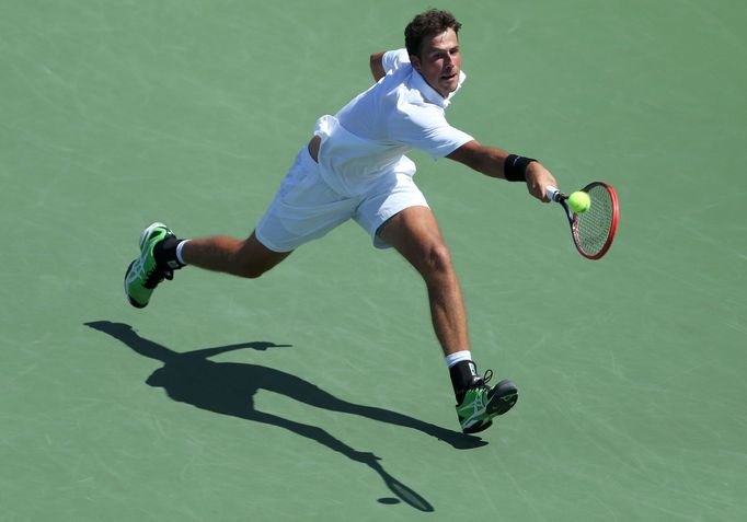 Robin Haase na US Open 2014