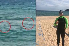 Dramatický boj o život. Španělský plavec prchal při tréninku před žraloky