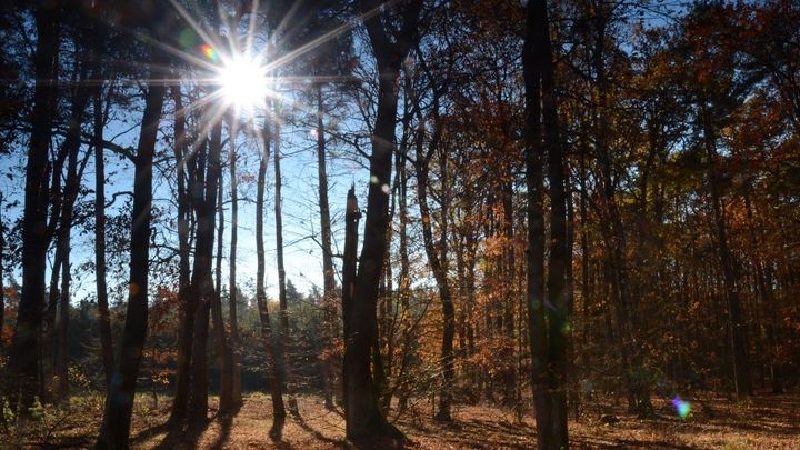 Neuvěřitelný listopad. V Česku padaly teplotní rekordy, v Karviné bylo přes 20 stupňů