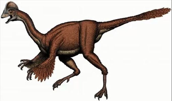 Dinosaurus Anzu wyliei.