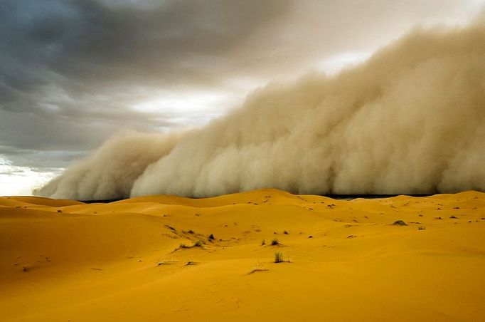 Trekkers Caught In Sandstorm - (Pictured is the sandstorm rising) These unbelievable pictures capture the moment camel trekkers are caught in a sandstorm while crossing the Erg Chebbi Desert. They were taken by photographer, Peter Vruggink, while he was on holiday with his family in Morocco in April. The huge wall of sand which can be seen in the distance coming over the land looks like something that would only be seen in a film.