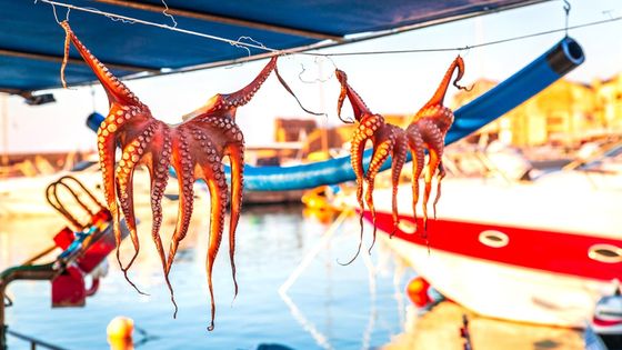 Jaké speciality ochutnat na Krétě? Dejte si souvlaki, mořské plody a hlavně předkrmy