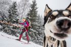 Za psem na saních, na běžkách i na kole. V Orličkách odstartoval Šediváčkův long