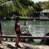 Pelikáni hnědí v kubánské vesnici Guanimar