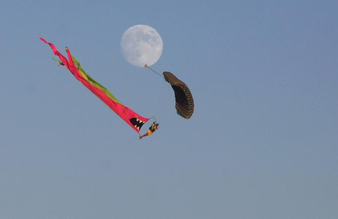 A skydiver descends to the Playa during the Burning Man 2012 "Fertility 2.0" arts and music festival in the Black Rock Desert of Nevada August 29, 2012. More than 60,000 people from all over the world have gathered at the sold out festival, which is celebrating its 26th year, to spend a week in the remote desert cut off from much of the outside world to experience art, music and the unique community that develops.