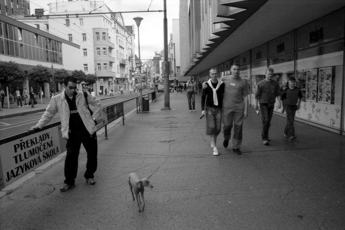 Tomáš Marek - Obyčejný vztah