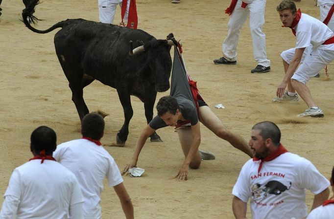 A runner is tossed by a wild cow during festivities in the bullring following the fifth running of the bulls in Pamplona July 11, 2012. Several runners suffered light injuries in a run that lasted three minutes and twelve seconds, according to local media. REUTERS/Eloy Alonso (SPAIN - Tags: ANIMALS SOCIETY) Published: Čec. 11, 2012, 9:51 dop.