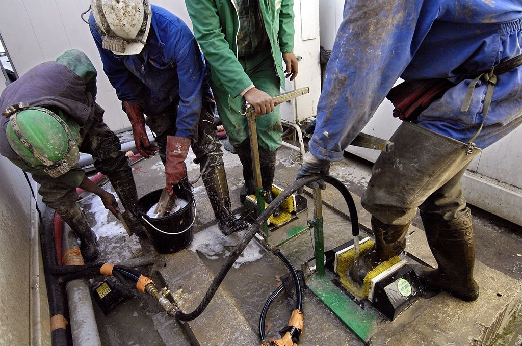 Ne pro články! Fotogalerie: Nejsmrdutější práce na světě