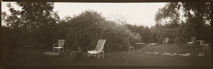 Josef Sudek: V magické zahradě, 1948 až 1954, vydraženo za 3000 dolarů