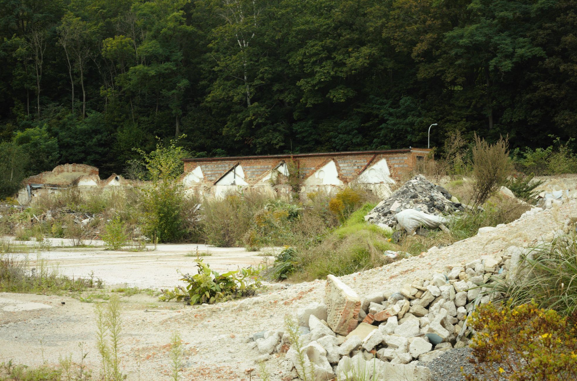 Löw-beerova a Schindlerova továrna