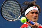 Ferrer měsíc před Davis Cupem skrečoval zápas v Pekingu