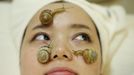 Snails crawl on the face of a woman during a demonstration of a new beauty treatment at Clinical-Salon Ci:z.Labo in central Tokyo July 17, 2013. Clinical-Salon Ci:z.Labo, which began the unique facial earlier this week, offers the 10,500 yen ($110) five-minute session with the snails as an optional add-on for customers who apply for a "Celeb Escargot Course", an hour-long treatment routine of massages and facials based on products made from snail slime that costs 24,150 yen. According to a beautician at the salon, the snail slime is believed to make one's skin supple as well as remove dry and scaly patches. Picture taken July 17, 2013. REUTERS/Issei Kato (JAPAN - Tags: SOCIETY) Published: Čec. 18, 2013, 6:07 dop.