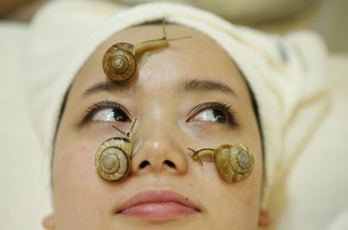 Snails crawl on the face of a woman during a demonstration of a new beauty treatment at Clinical-Salon Ci:z.Labo in central Tokyo July 17, 2013. Clinical-Salon Ci:z.Labo, which began the unique facial earlier this week, offers the 10,500 yen ($110) five-minute session with the snails as an optional add-on for customers who apply for a "Celeb Escargot Course", an hour-long treatment routine of massages and facials based on products made from snail slime that costs 24,150 yen. According to a beautician at the salon, the snail slime is believed to make one's skin supple as well as remove dry and scaly patches. Picture taken July 17, 2013. REUTERS/Issei Kato (JAPAN - Tags: SOCIETY) Published: Čec. 18, 2013, 6:07 dop.