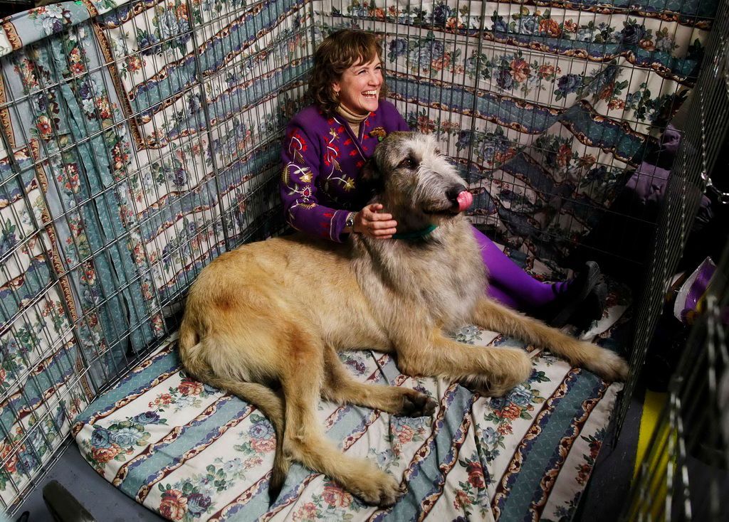 Westminster Kennel Club Dog Show