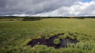 Na náhorní plošině Krkonoš ve výšce 1500 m nad hladinou moře.