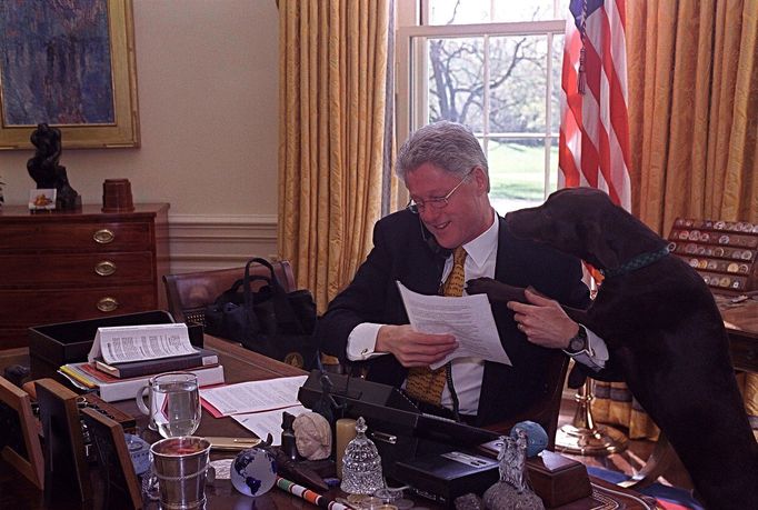 Bývalý americký prezident Bill Clinton se svým psem Buddym.