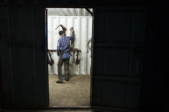 Amit, an Israeli cowboy, gets ready in the early morning a the ranch just outside Moshav Yonatan, a collective farming community, about 2 km (1 mile) south of the ceasefire line between Israel and Syria in the Golan Heights May 21, 2013. Cowboys, who have been running the ranch on the Golan's volcanic rocky plateau for some 35 years, also host the Israeli military, who use half of the cattle farm, 20,000 dunams (5,000 acres), as a live-fire training zone. Israel captured the Golan Heights from Syria in the 1967 Middle East war and annexed the territory in 1981, a move not recognized internationally. Picture taken May 21, 2013. REUTERS/Nir Elias (ENVIRONMENT ANIMALS SOCIETY) ATTENTION EDITORS: PICTURE 27 OF 27 FOR PACKAGE 'COWBOYS OF THE GOLAN HEIGHTS' SEARCH 'COWBOY GOLAN' FOR ALL IMAGES Published: Kvě. 29, 2013, 10:08 dop.