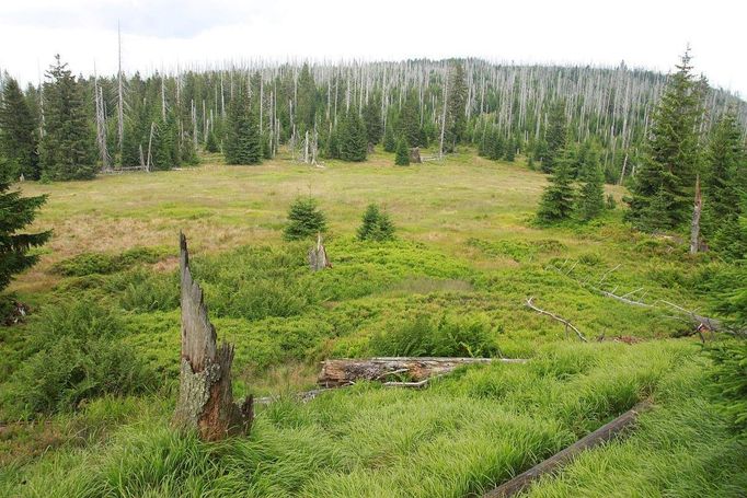 Šumava