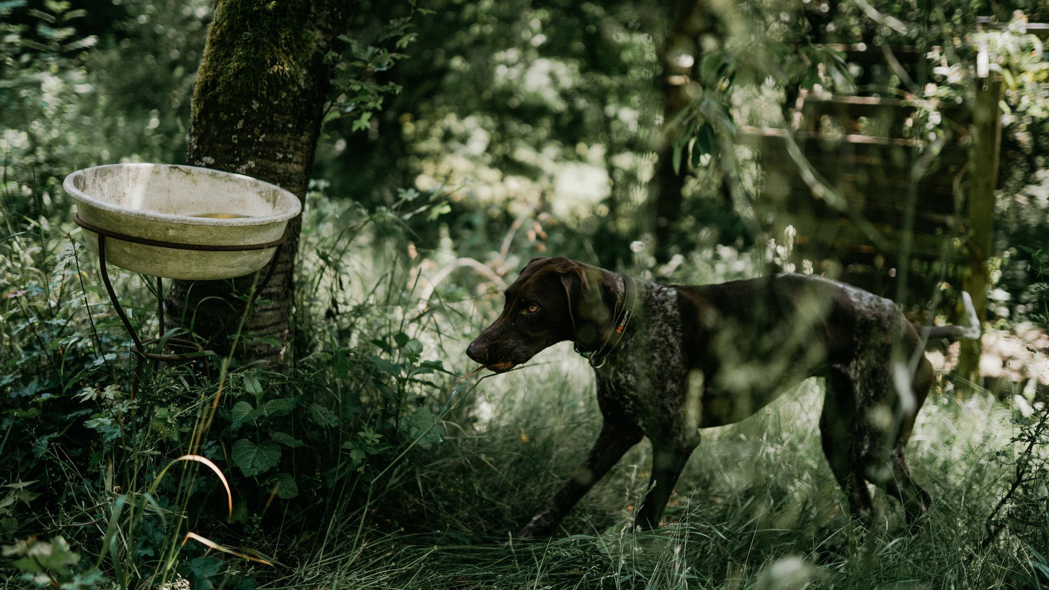 holka od berounky chata glamping