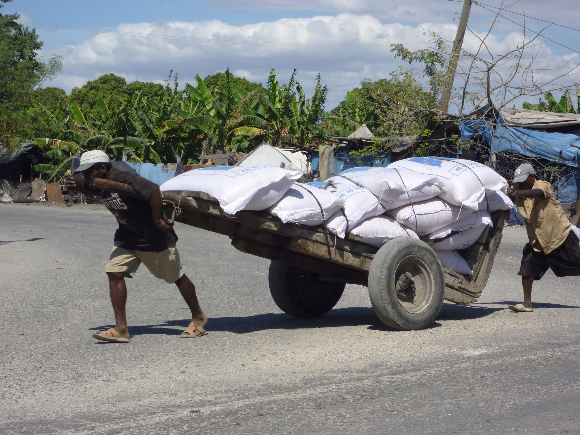 Česká humanitární pomoci na Haiti